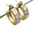 Elegant 18K Gold-Plated Cubic Zirconia Hoop Earrings: Stainless Steel Hypoallergenic Jewelry Steelstyle33